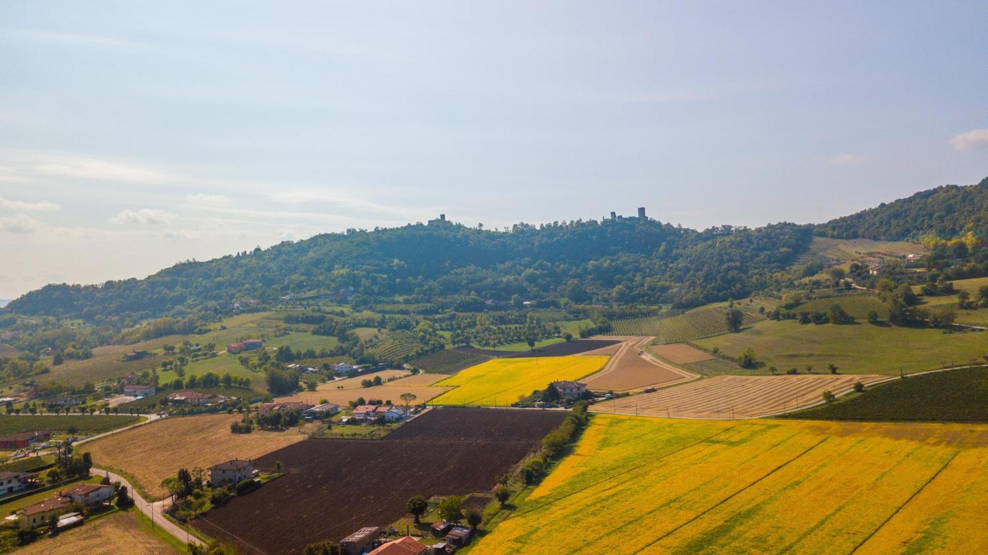 Agriturismo Riva Ratta Монтеккьо-Маджоре Экстерьер фото